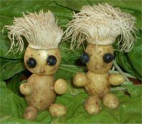 Kartoffelkerlchen auf Mangold