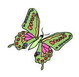 Schmetterlings-Spezial