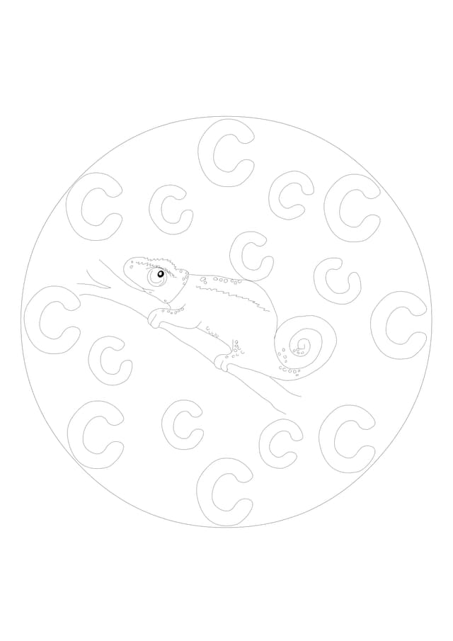 PDF Thumbnail