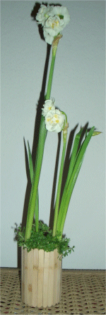 Blumentopfchen aus Eisstielen