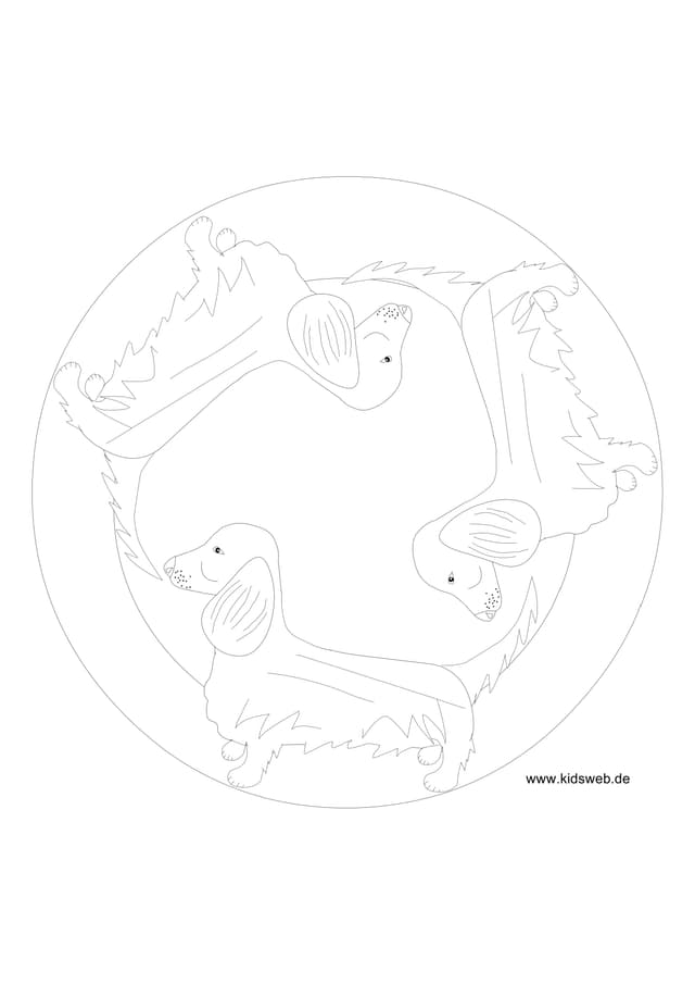 PDF Thumbnail