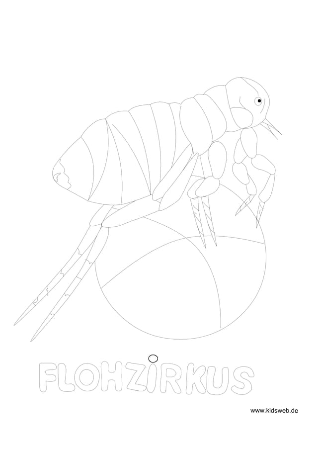 PDF Thumbnail