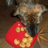 Artikelbild Leckere Hundekekse backen Geflügelleberröllchen