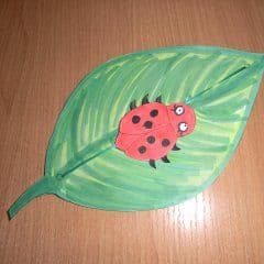 Artikelbild Beweglichen Käfer auf Blatt basteln