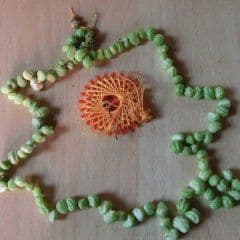 Kette aus Kapuzinerkressesamen
