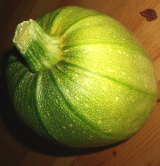 Kürbis unreif
