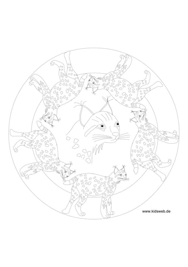 PDF Thumbnail