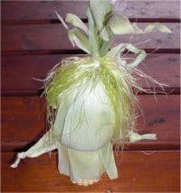 Maisfrau