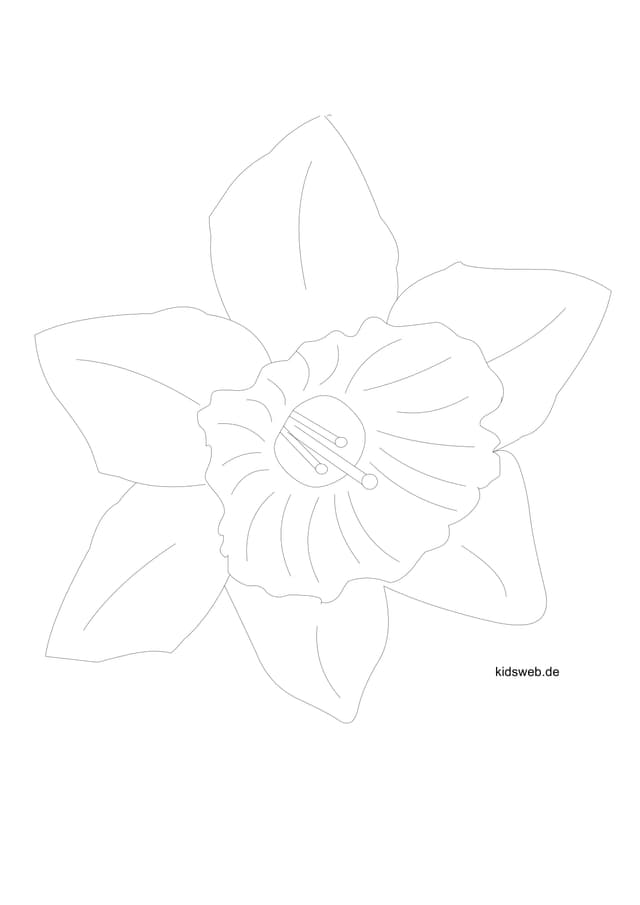 PDF Thumbnail