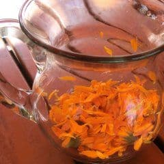 Ringelblumenbüten