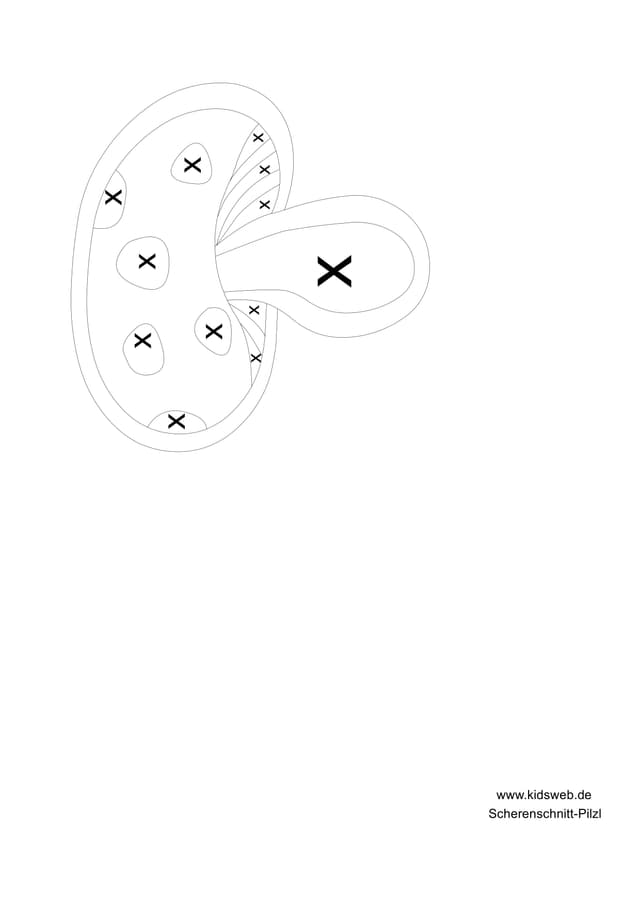 PDF Thumbnail