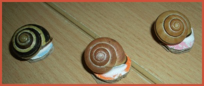 Drei Schnecken auf Wellpappscheiben