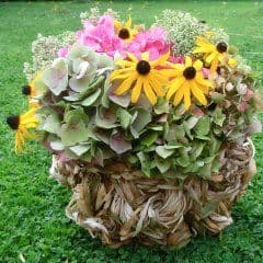 Topf mit Gartenblumen gefüllt.